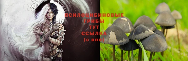 альфа пвп Богородицк