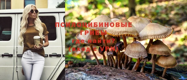 герыч Богородск