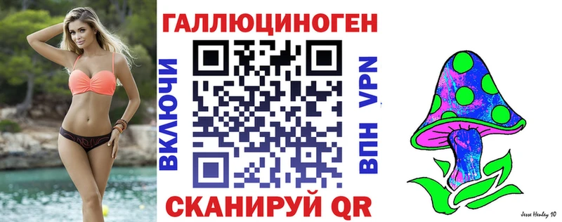 Галлюциногенные грибы Psilocybine cubensis  мега ссылки  Дальнереченск 